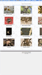 Mobile Screenshot of americanspiders.zacharoo.com
